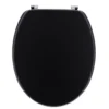 ABATTANT WC 18 POUCES ATTACHES ACIER INOXYDABLE NOIR