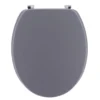 ABATTANT WC 18 POUCES ATTACHES ACIER INOXYDABLE GRIS