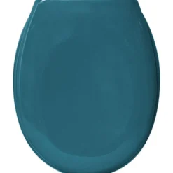 ABATTANT WC THERMODUR 18 POUCES BLEU CANARD