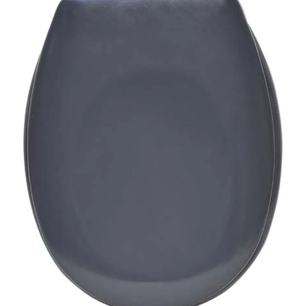 ABATTANT WC THERMODURE FREIN DE CHUTE GRIS