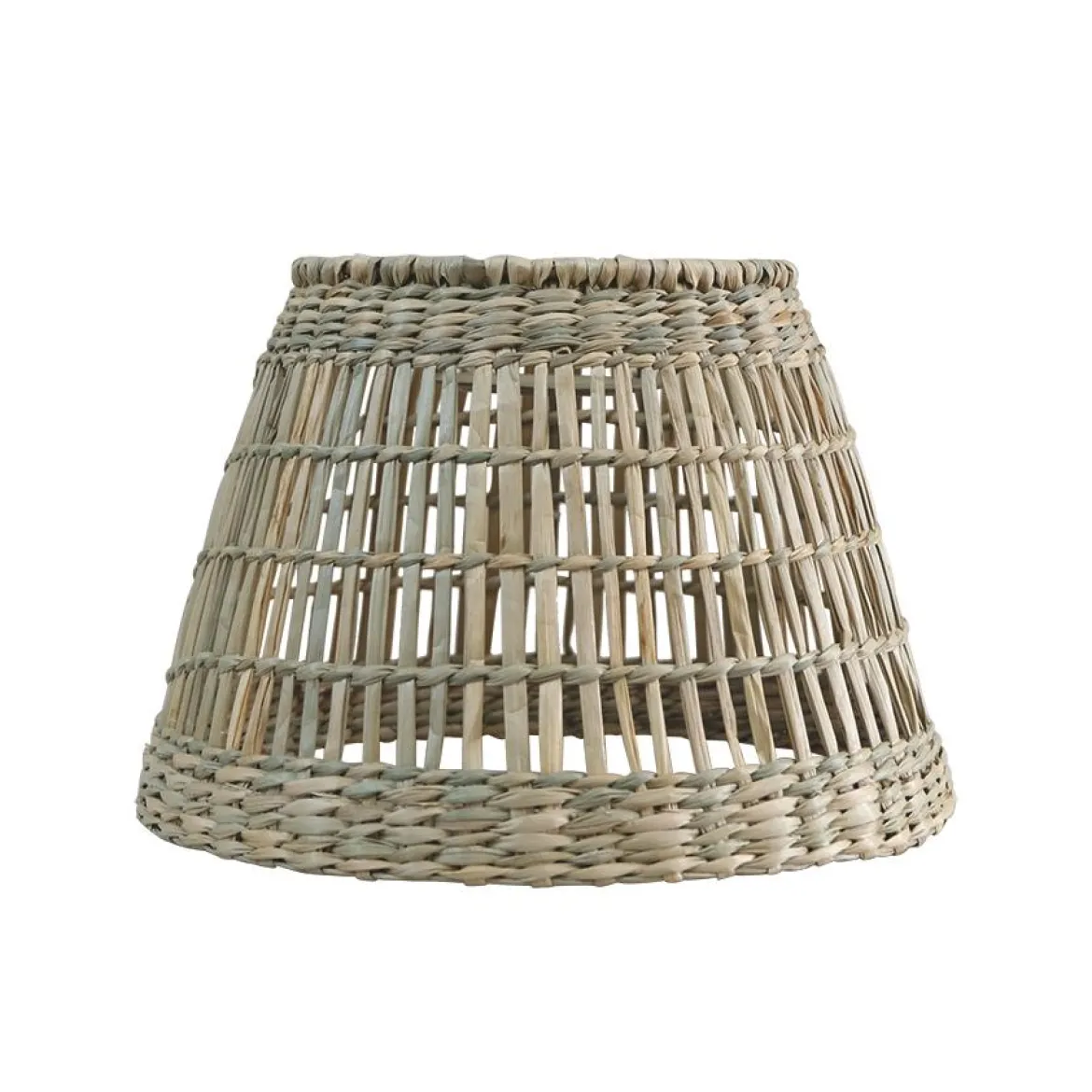 ABJ CONICA L SEAGRASS