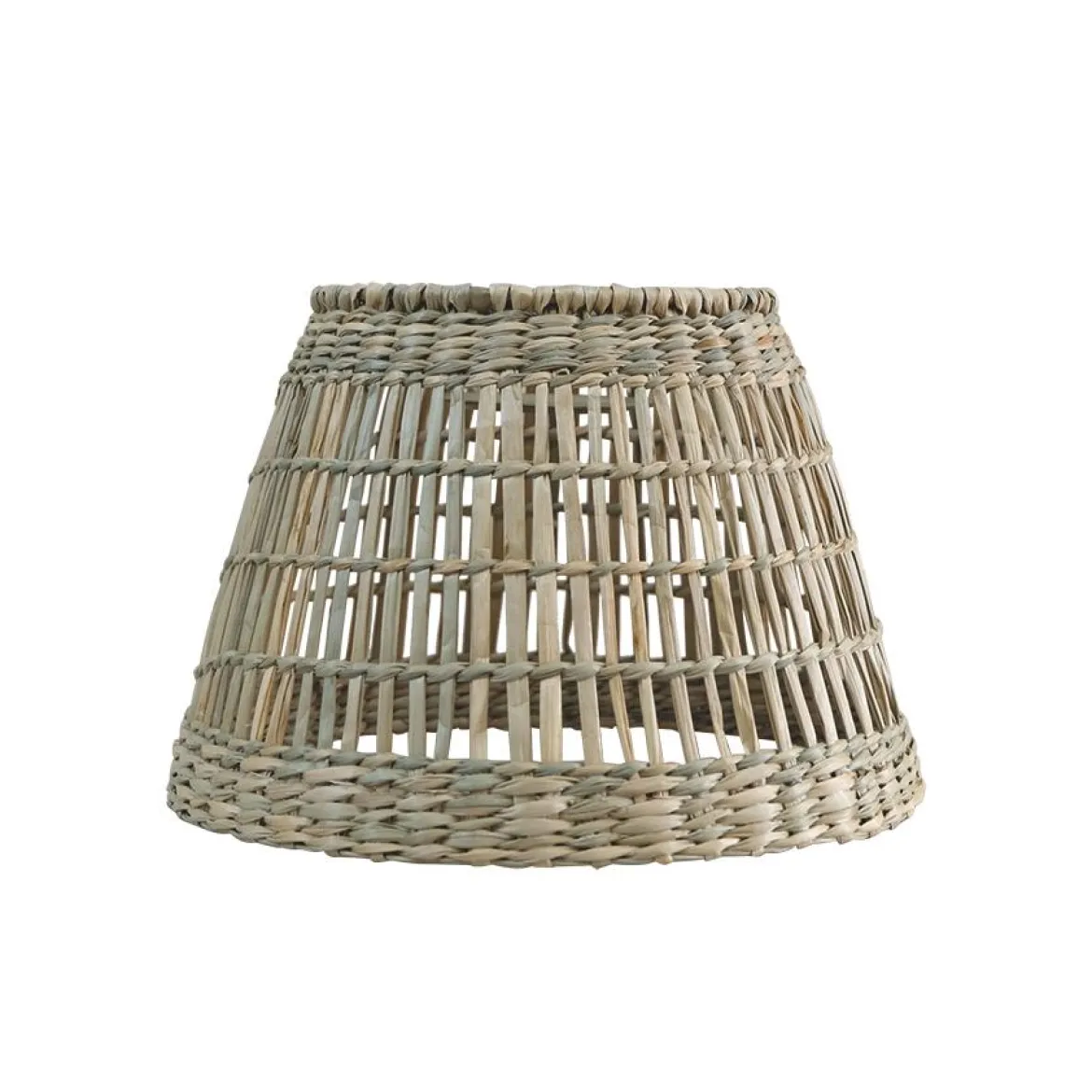 ABJ CONICA S SEAGRASS
