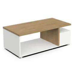ACCESS TABLE BASSE 3 NICHES 92X50CM