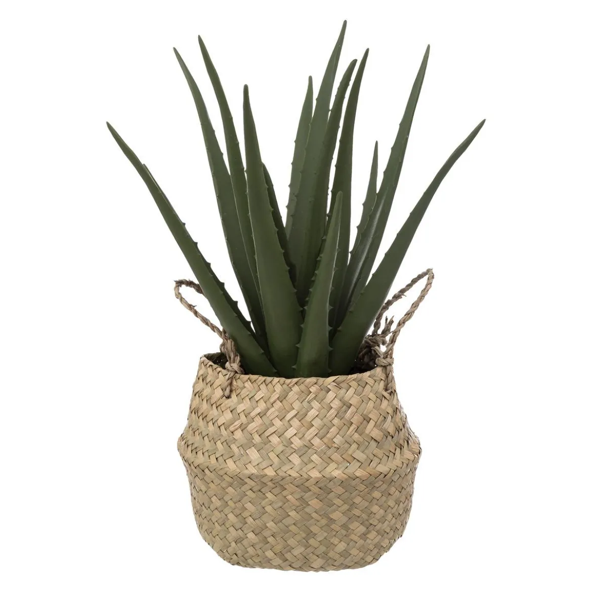 ALOE POT NATUREL H.40CM
