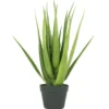 ALOE POT PLASTIQUE H.58CM