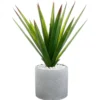 ALOE VERA POT CERAMIQUE H.48CM