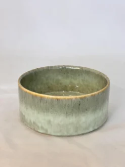 ASSIETTE CREUSE VERT PORCELAINE EMAIL REACTIF 20CM