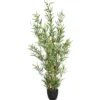 BAMBOU EN POT H.120CM