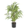 BAMBOU 240 FEUILLES H.70CM