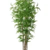 BAMBOU 6 TRONCS H180CM