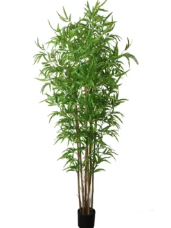 BAMBOU 6 TRONCS H180CM
