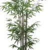 BAMBOU 7 TRONCS NATURELS 612 FEUILLES H.150CM