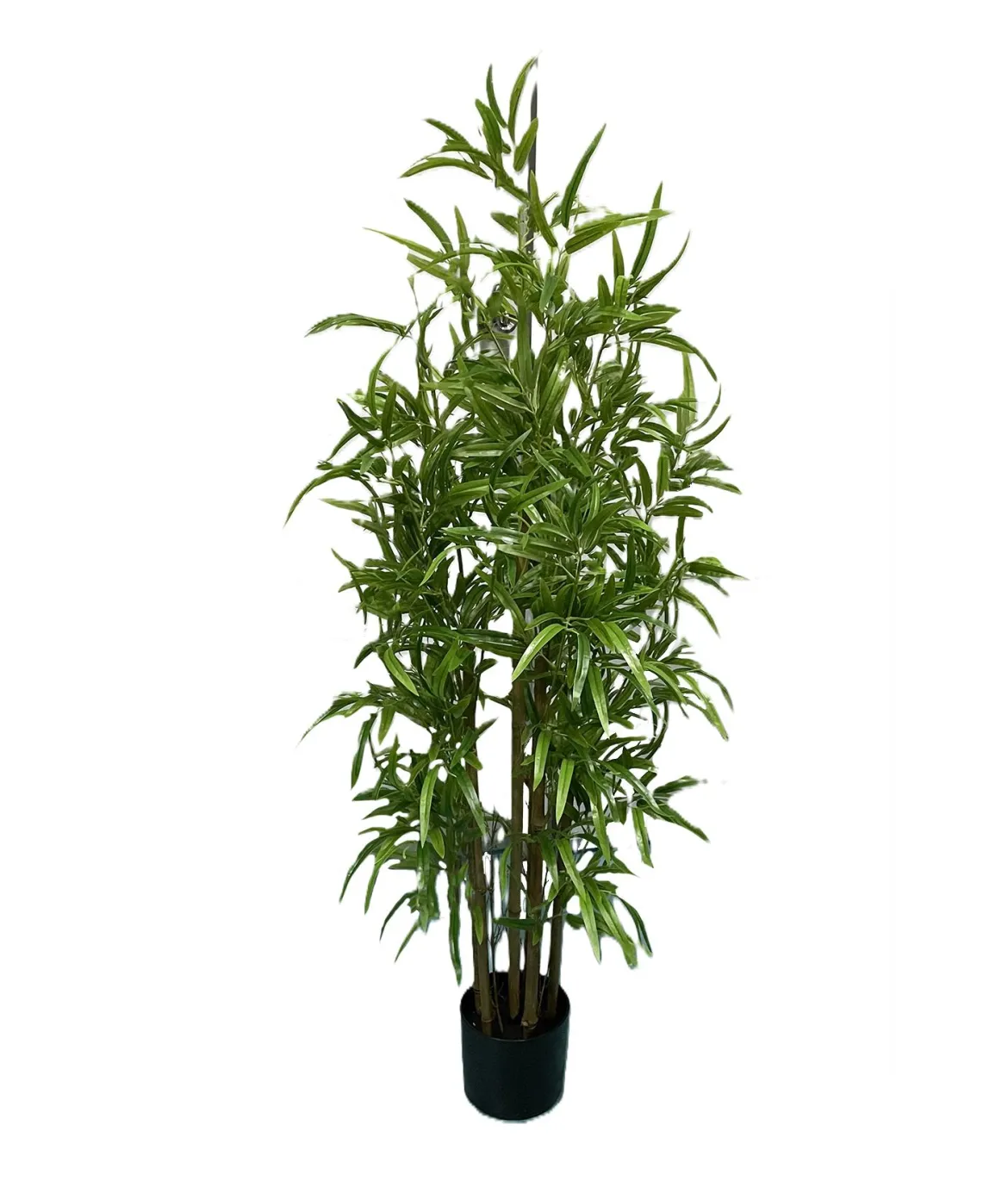 BAMBOU 6 TRONCS POT PLASTIQUE NOIR H.120CM