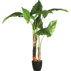 BANANIER EN POT H.120CM