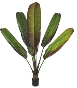 BANANIER 6 FEUILLES POT H.160CM