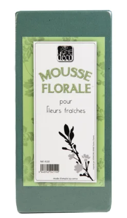 BLOC MOUSSE VERTE FILMEE 11X8X22.5CM