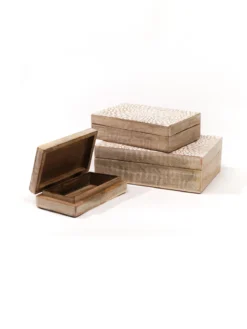 BOITE BOIS MANGUIER GRAND MODELE