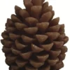BOUGIE FORME POMME DE PIN 11.5X11.5CM