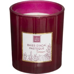 BOUGIE PARFUMEE BAIES D ACAI PASTEQUE MAEL 190G
