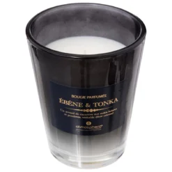 BOUGIE PARFUMEE VERRE ALMA TONKA 270G