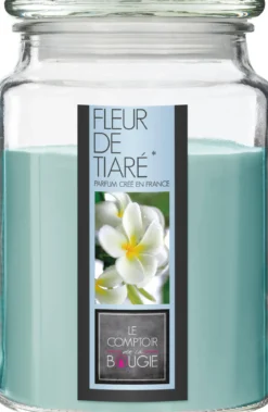 BOUGIE PARFUMEE VERRE FLEUR TIARE NINA 510G