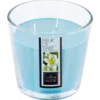 BOUGIE PARFUMEE VERRE FLEUR TIARE 500G