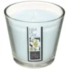 BOUGIE PARFUMEE VERRE FLEUR TIARE NINA 190G