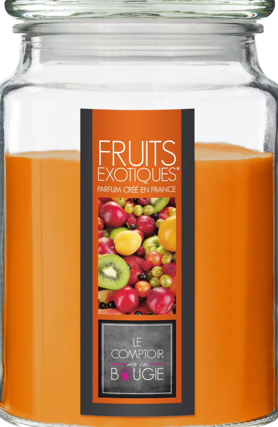 BOUGIE PARFUMEE VERRE FRUIT EXOTIQUE NINA 510G