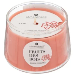 BOUGIE PARFUMEE VERRE IZOR FRUIT DES BOIS 110G