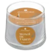 BOUGIE PARFUMEE VERRE IZOR MONOI 300G