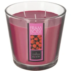 BOUGIE PARFUMEE VERRE NINA 500G
