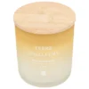 BOUGIE PARFUMEE VERRE SANA TERRE D AILLEURS 255G