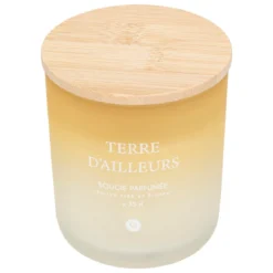 BOUGIE PARFUMEE VERRE SANA TERRE D AILLEURS 255G