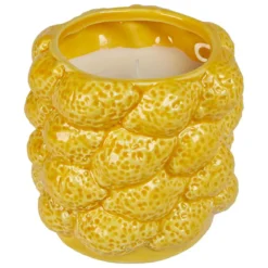 BOUGIE PARFUMEE YUCATAN 330G