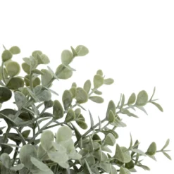 BOUQUET EUCALYPTUS JAMES H.30CM