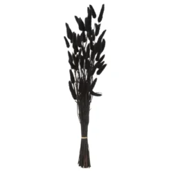 BOUQUET QUEUE DE LAPIN LUMIERE D HIVER H.58CM