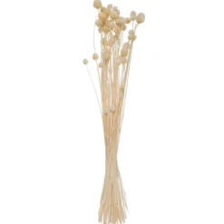 BOUQUET SECHE