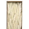 BOUQUET SECHE NATUREL KRAFT H.60CM