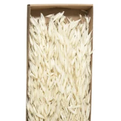 BOUQUET SECHE NATUREL KRAFT H.60CM