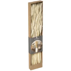 BOUQUET SECHE NATUREL KRAFT H.60CM