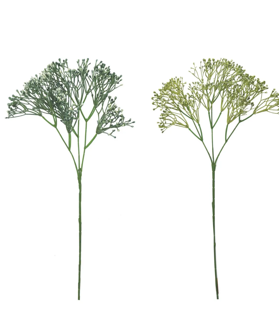 BRANCHE GYPSO PLASTIQUE GRAPPE H.60CM