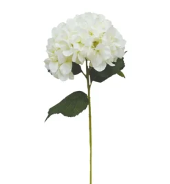 BRANCHE HORTENSIA H80CM CREME