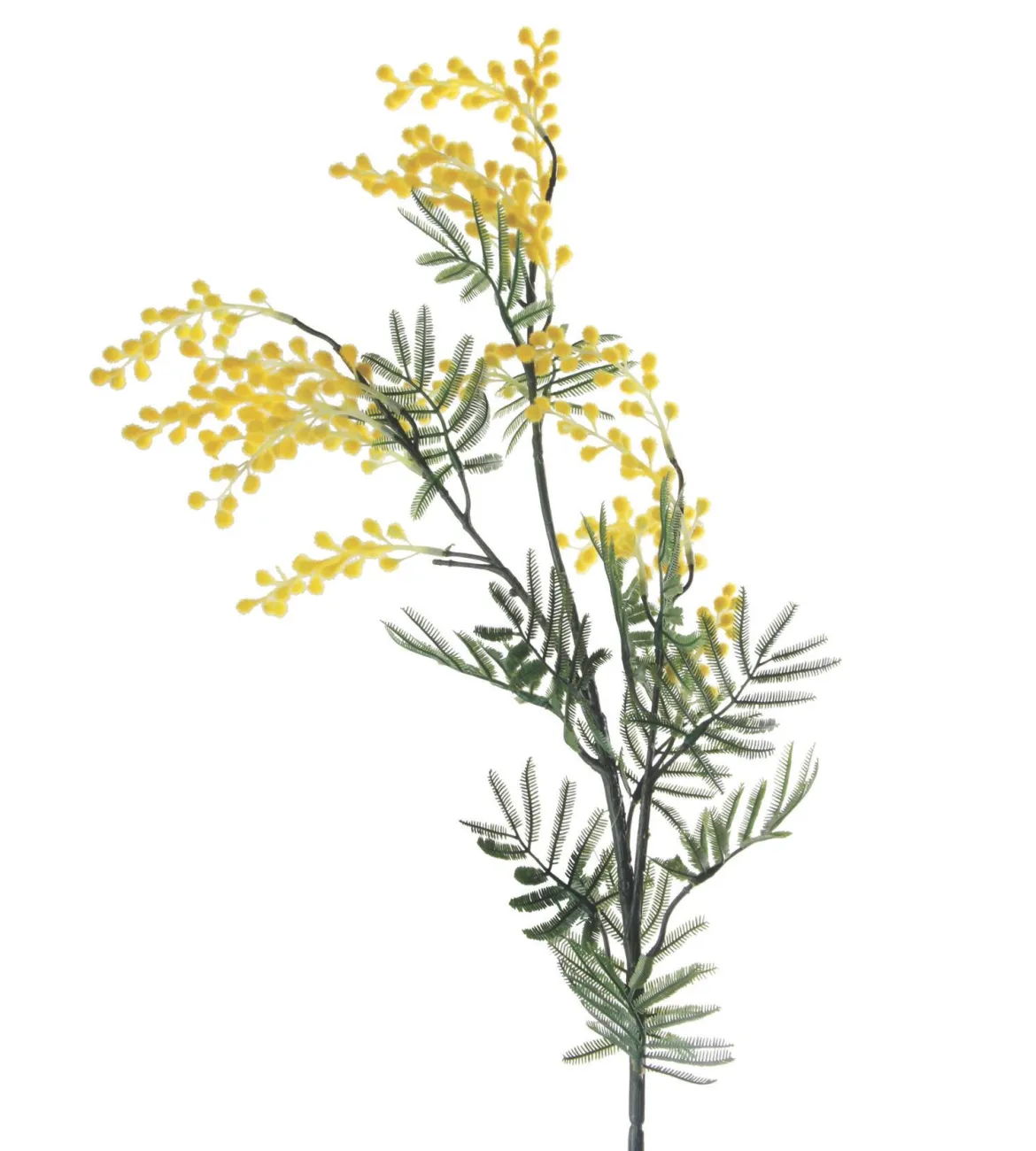 BRANCHE MIMOSAS H.66CM