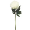 BRANCHE PIVOINE H.70CM BLANC
