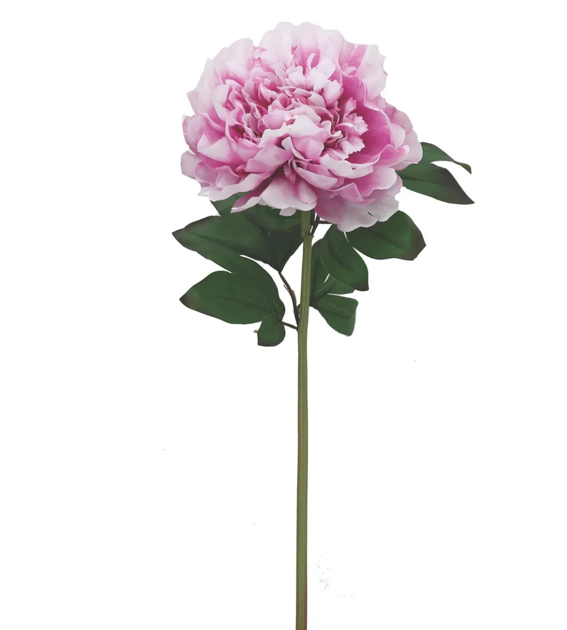 BRANCHE PIVOINE H.70CM FUCHSIA