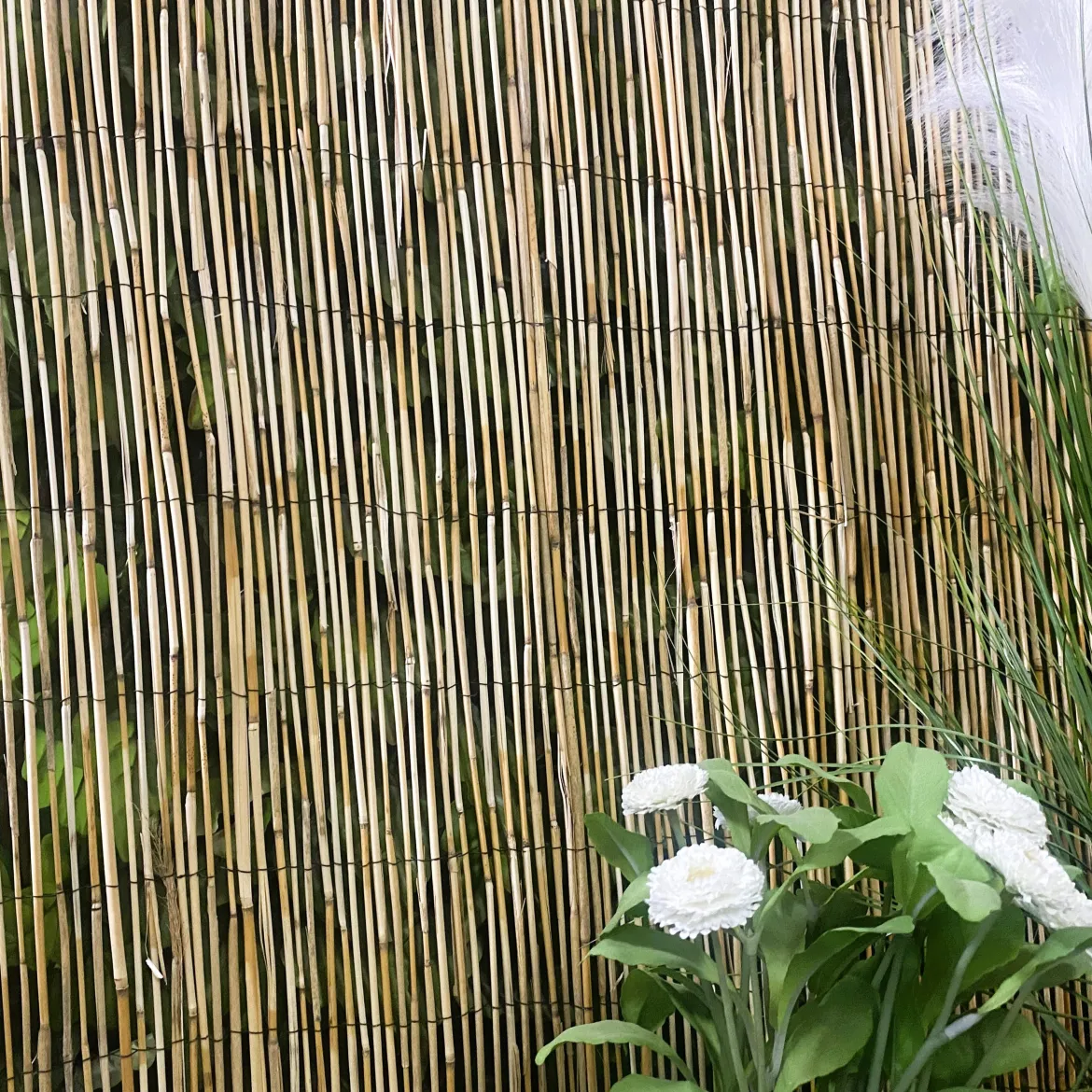 BRISE VUE ROSEAUX 150X300CM