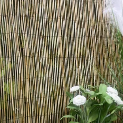 BRISE VUE ROSEAUX 100X300CM
