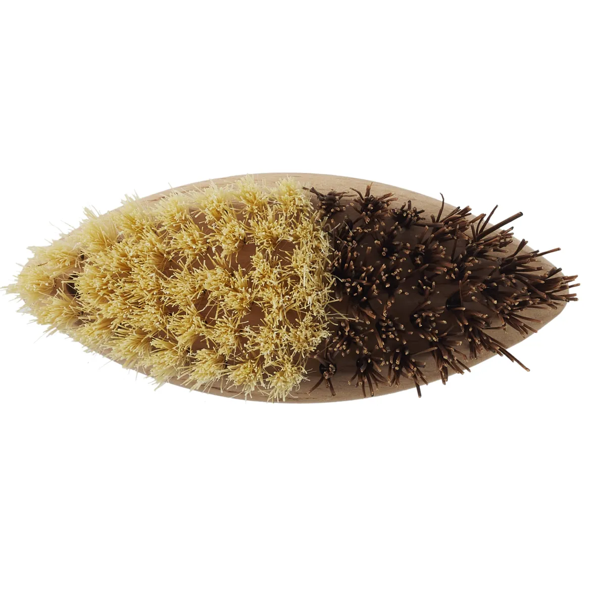 BROSSE LEGUMES