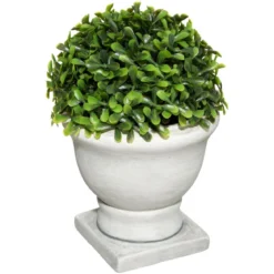 BUIS POT ROMANCE H.16CM