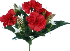 BUISSON OEILLET H.28CM